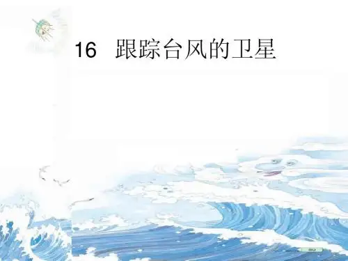 16跟踪台风的卫星