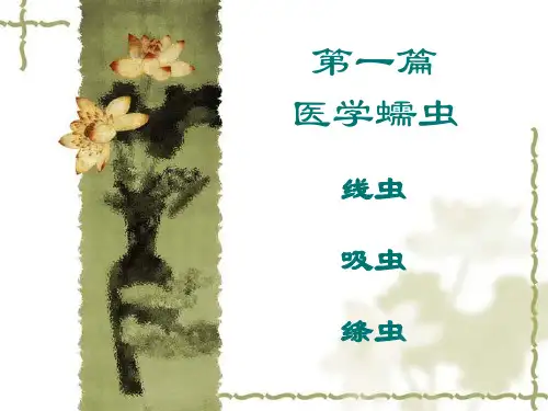 4第一篇医学蠕虫绦虫