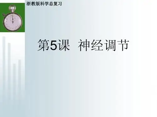第08课 神经调节