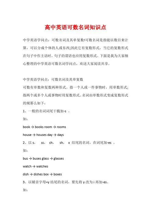 高中英语可数名词知识点