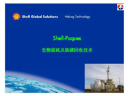 Shell-Paques生物脱硫及硫磺回收工艺