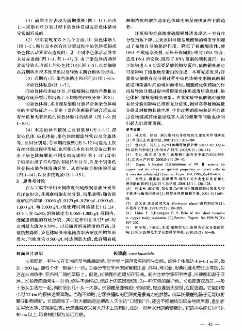 长颈鹿