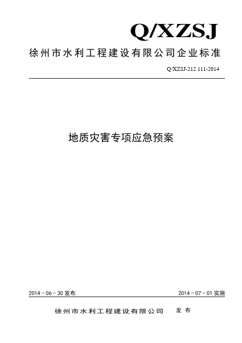 地质灾害专项应急预案