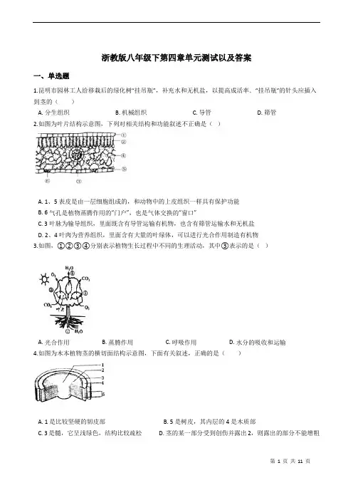 浙教版科学八年级下第四章植物与土壤 单元测试以及答案