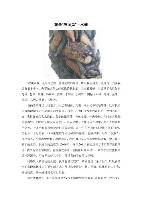 我是吸血鬼-水蛭