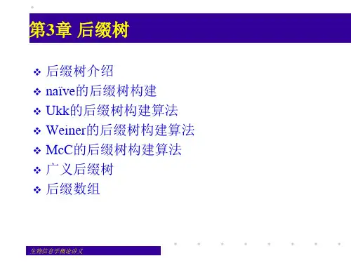 3-后缀树的构建