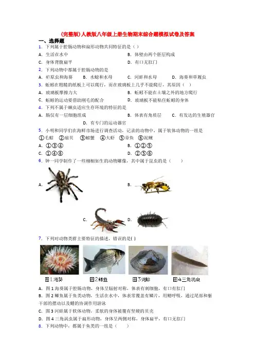 (完整版)人教版八年级上册生物期末综合题模拟试卷及答案 2