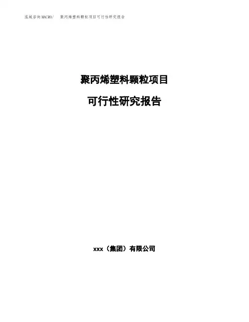 聚丙烯塑料颗粒项目可行性研究报告(参考模板范文)