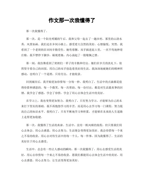 作文那一次我懂得了