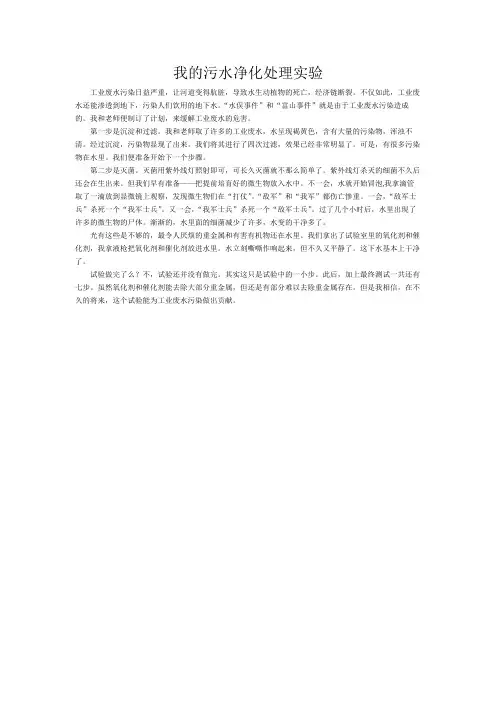 我的污水净化处理实验