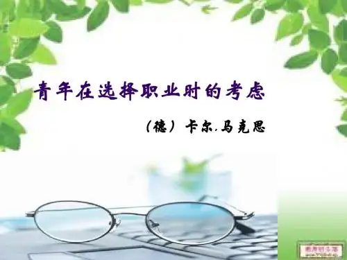 2013:1.3.1《青年在选择职业时的考虑》2