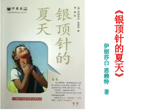 银顶针的夏天