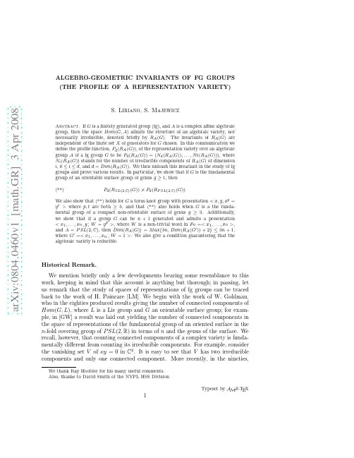 Algebro-Geometric Invariants of Finitely Generated Groups (The Profile of a Representation
