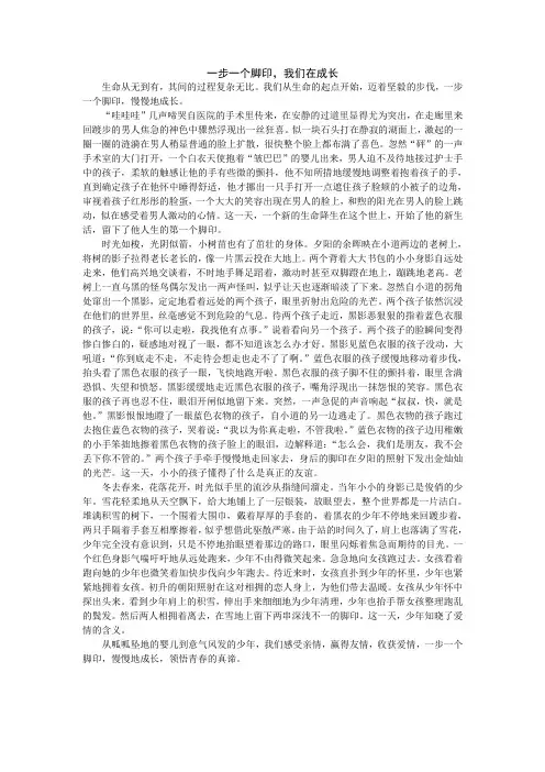 一步一个脚印