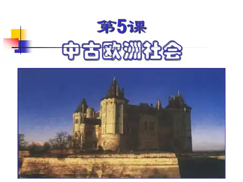中古欧洲社会