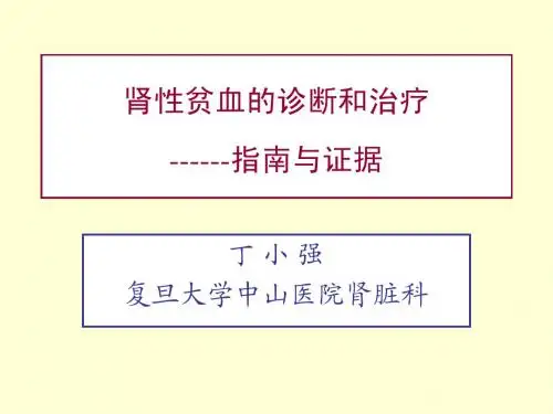 5.丁小强-贫血指南20120806