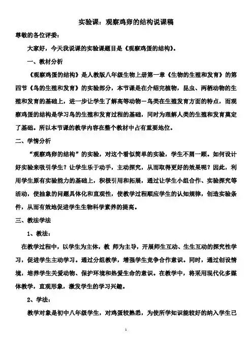观察鸡卵的结构-实验课