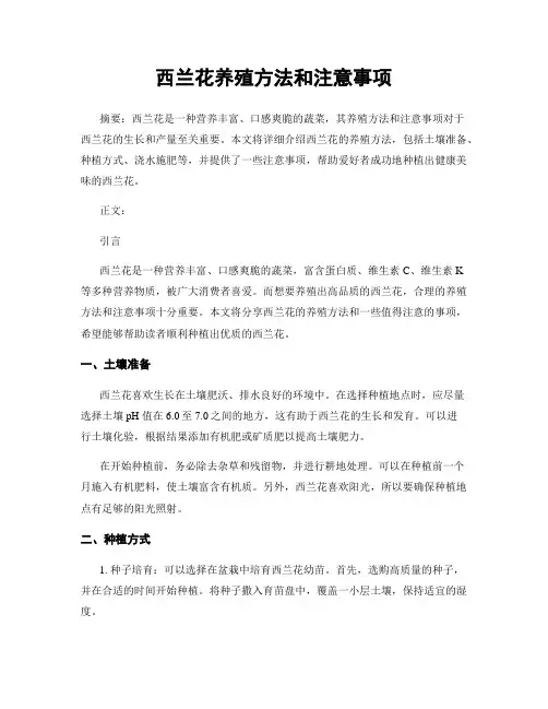 西兰花养殖方法和注意事项