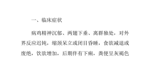 如何应对雏鸡发生曲霉菌病