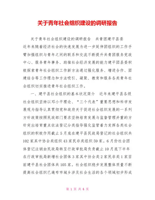 关于青年社会组织建设的调研报告