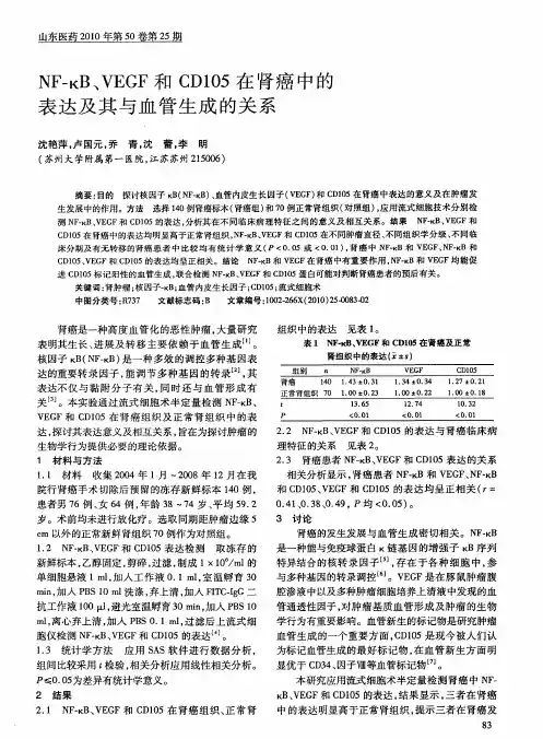 NF-κB、VEGF和CD105在肾癌中的表达及其与血管生成的关系