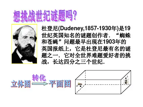 直三棱柱的表面展开图