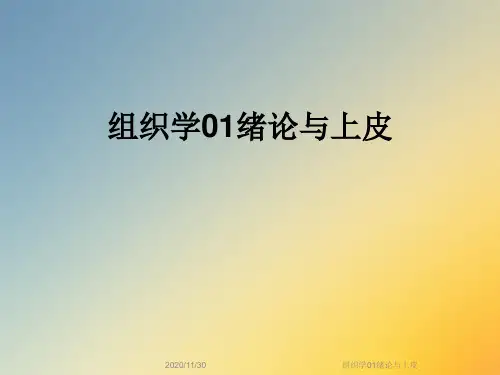 组织学01绪论与上皮