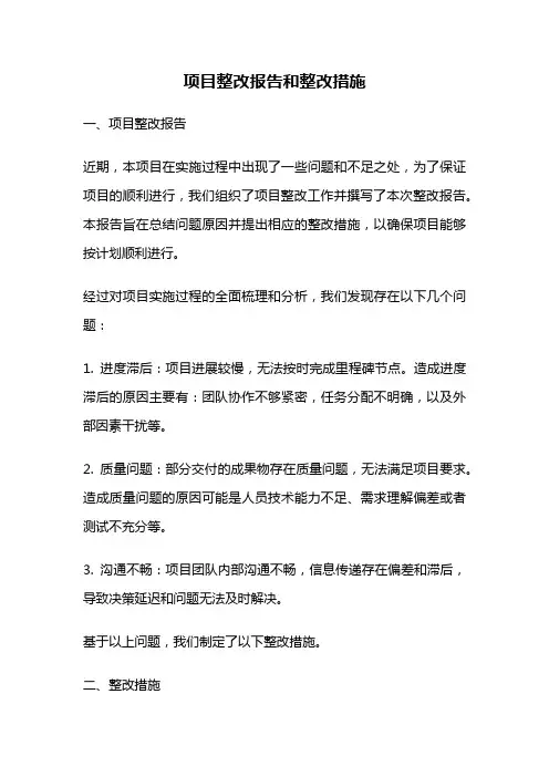 项目整改报告和整改措施