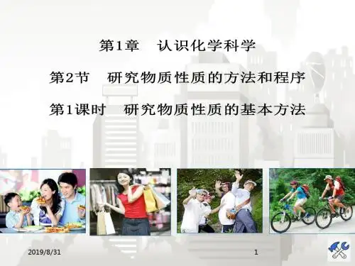 高中化学鲁科版必修1 1.2.1 研究物质性质的基本方法2