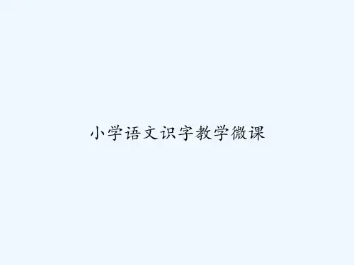 小学语文识字教学微课