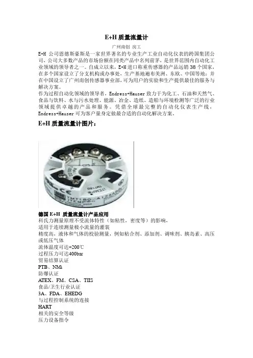 E+H质量流量计