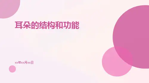 耳朵的结构和功能