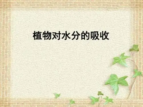 【初中生物】植物对水分的吸收PPT课件