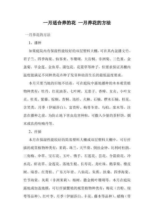 一月适合养的花 一月养花的方法