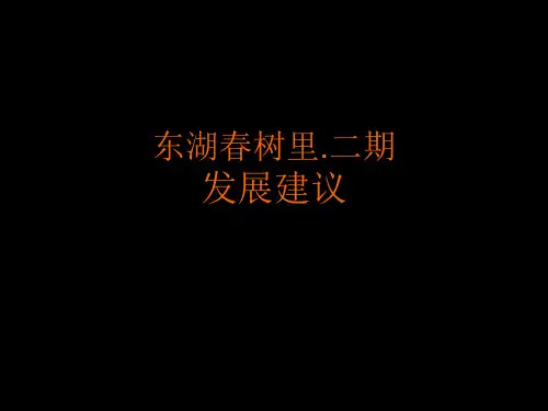 商业都市综合体项目发展方案书范本