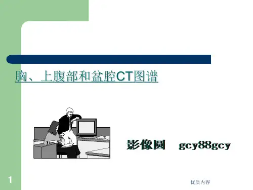 胸腹部CT阅片[参考材料]