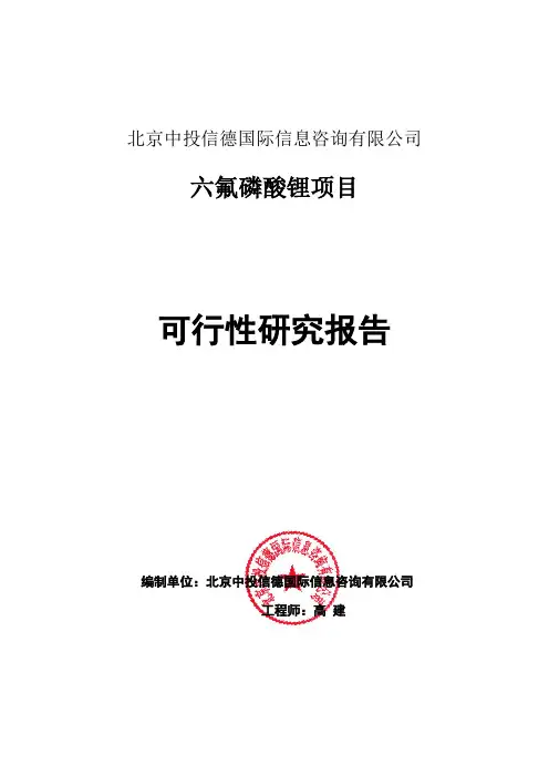 六氟磷酸锂项目可行性研究报告编写格式说明(模板套用型word)