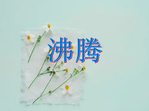 14《沸腾》ppt教学件(1)