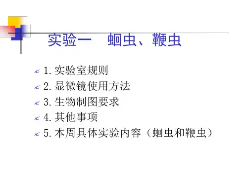 实验1蛔虫和鞭虫