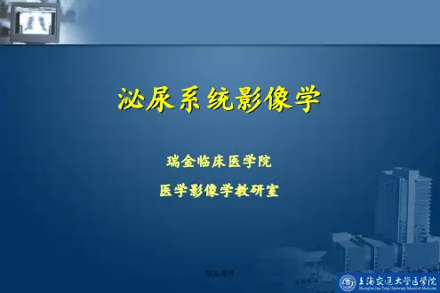 泌尿系统影像学(1)