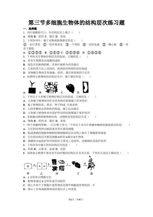 第三节多细胞生物体的结构层次练习题