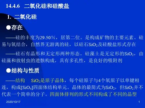 二氧化硅和硅酸盐教学教案