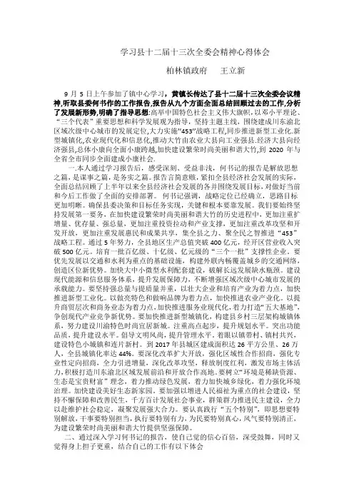 学习县十二届十三次全委会精神心得体会