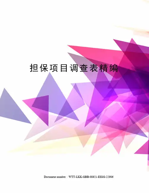 担保项目调查表精编