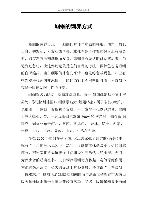 蝈蝈的饲养方式