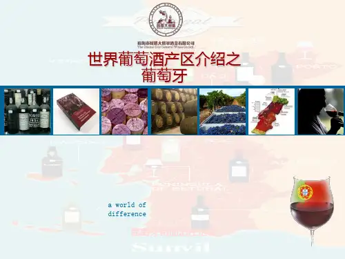 葡萄牙葡萄酒文化介绍课件