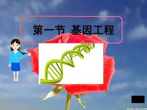 第一节 基因工程