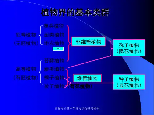 植物界的基本类群与演化低等植物