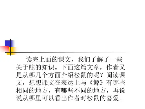 10.《松鼠》PPT课件