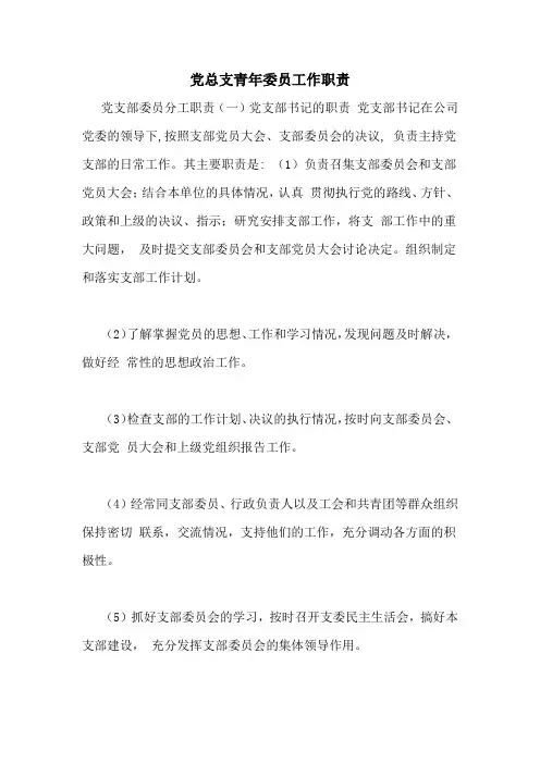 党总支青年委员工作职责
